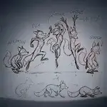 2D Animation
