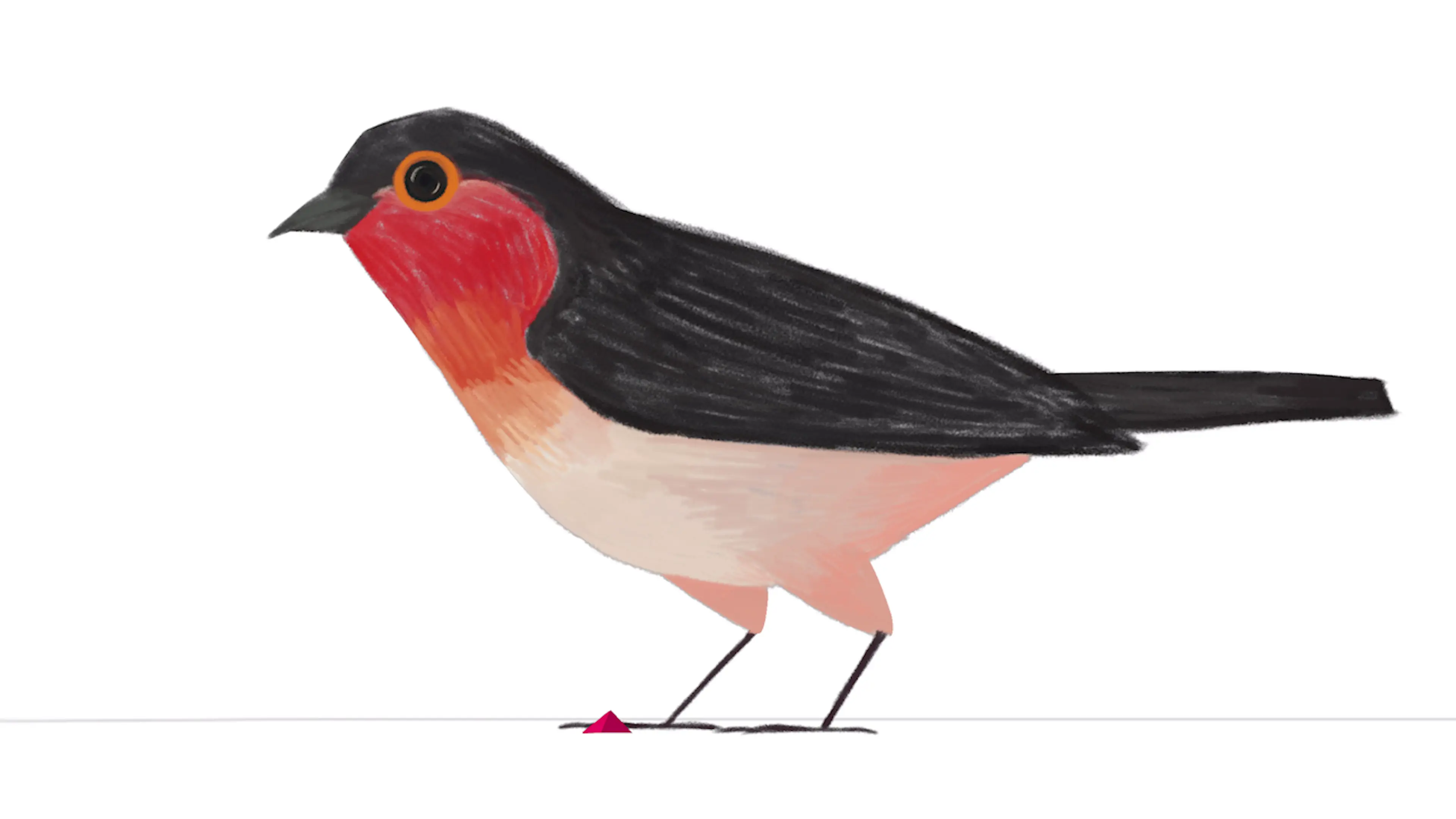 Arkadia - origami bird branding vector animation layout | Frame 1